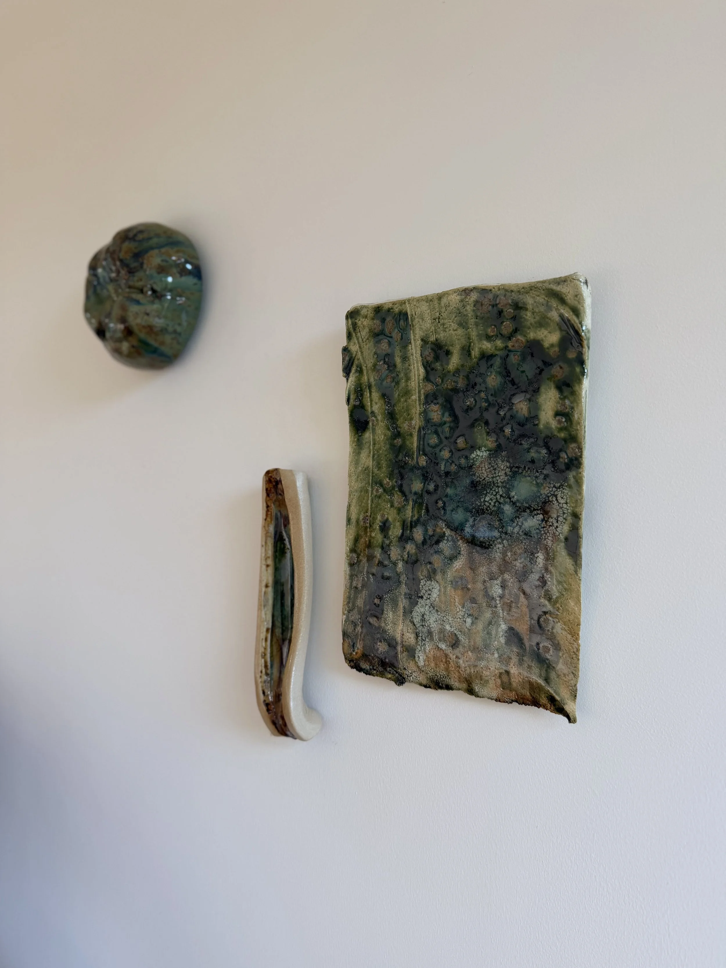 Kākāriki + Awa + Eden Wall Objects.jpg