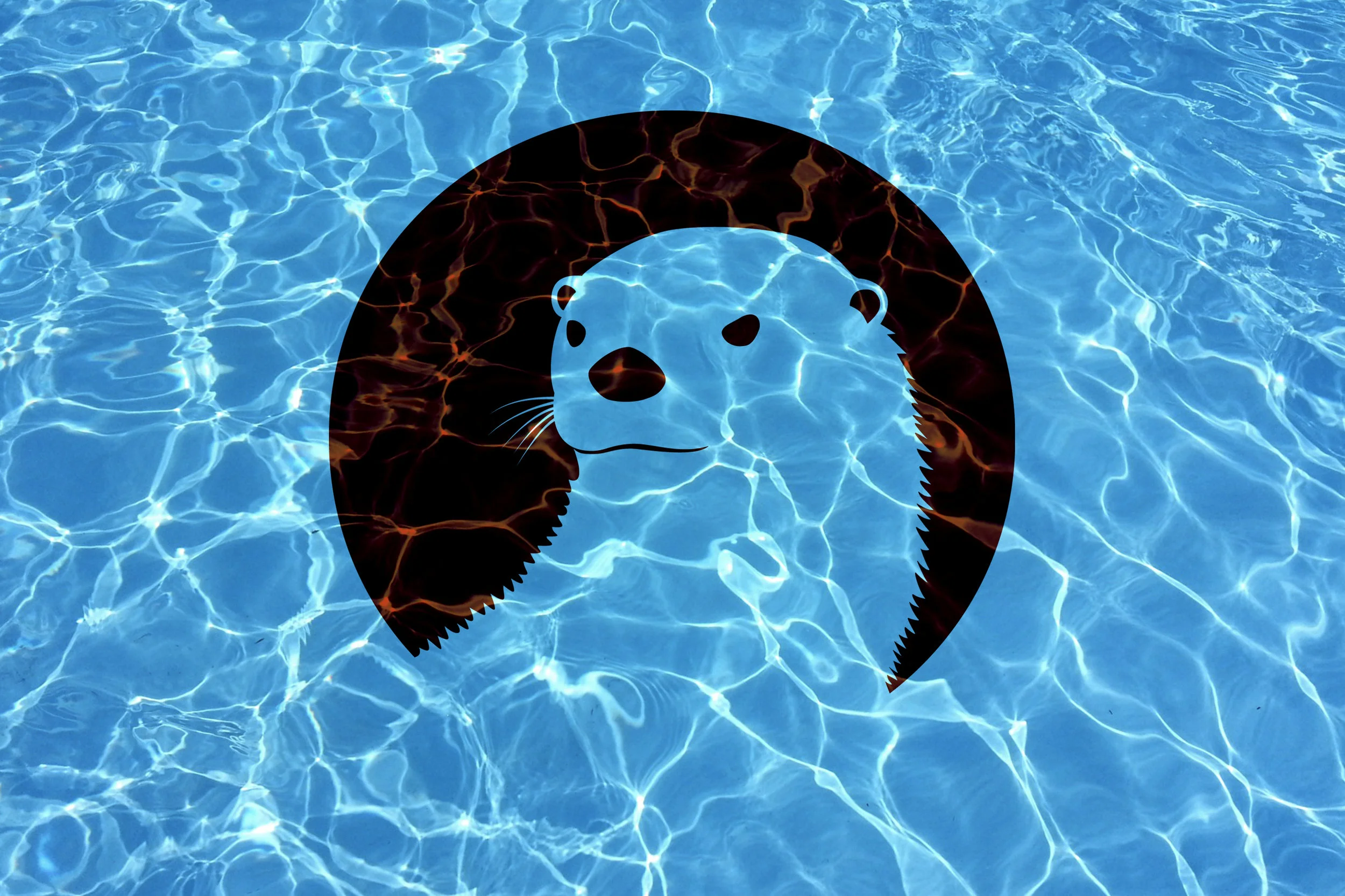 New Swimmers v01B.jpg