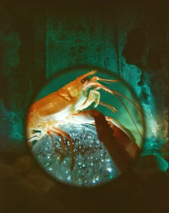 ABYSS 3 BY SANGES @.jpg