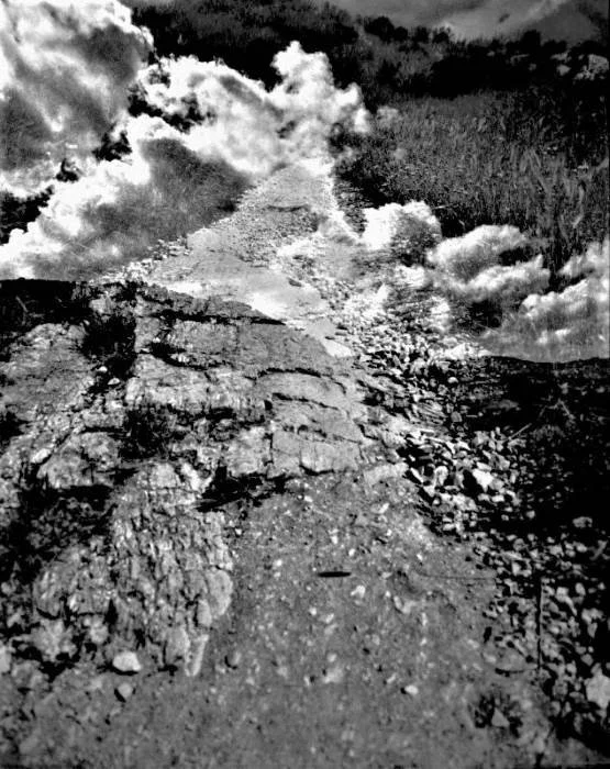 LUMINOUS N 11 BY SANGES @.jpg