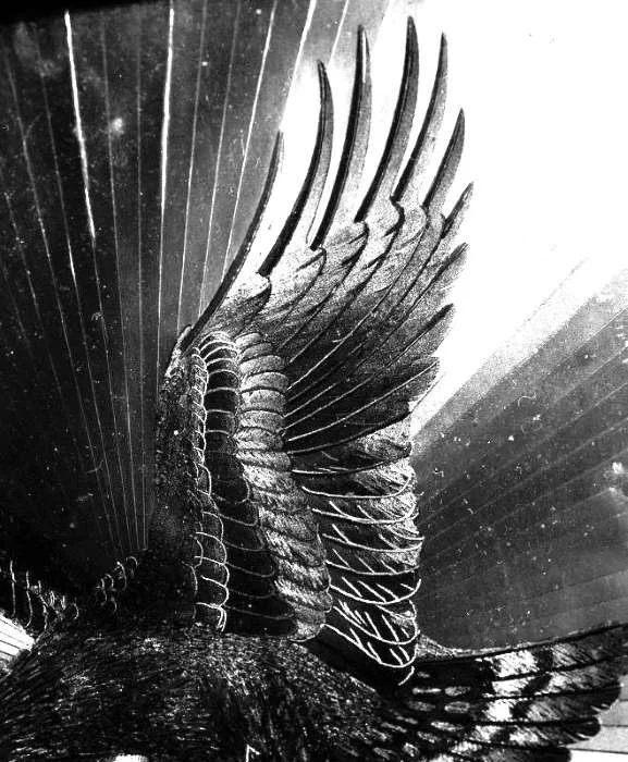 LOCKDOWN STREETS N'527.jpg