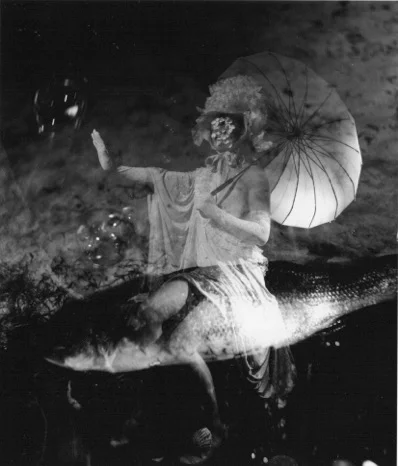 WUNDERKAMERA n 4 BY SANGES@.jpeg