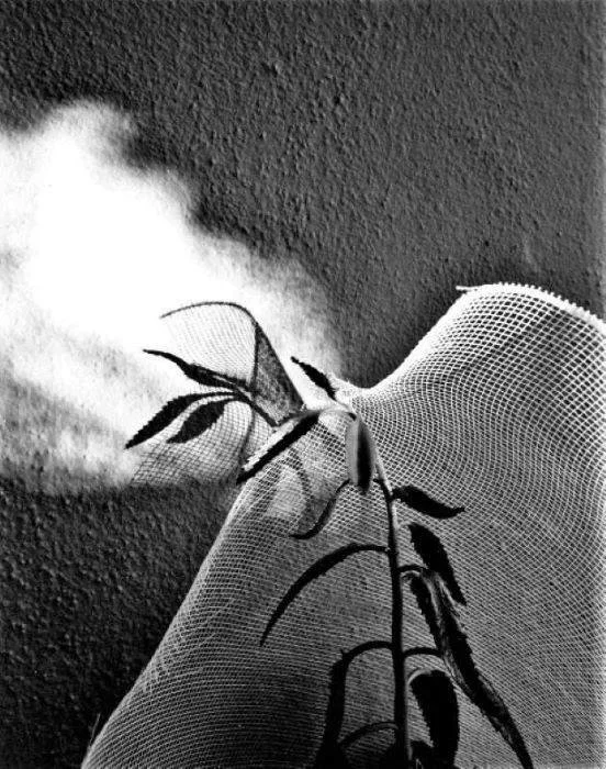 LUMINOUS N' 9 BY SANGES @.jpg