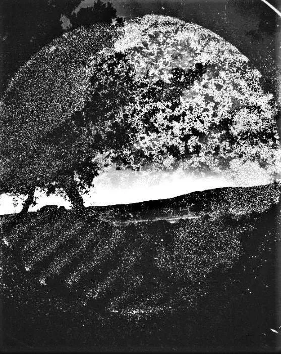 LUMINOUS N'6 BY SANGES_19 @.jpg