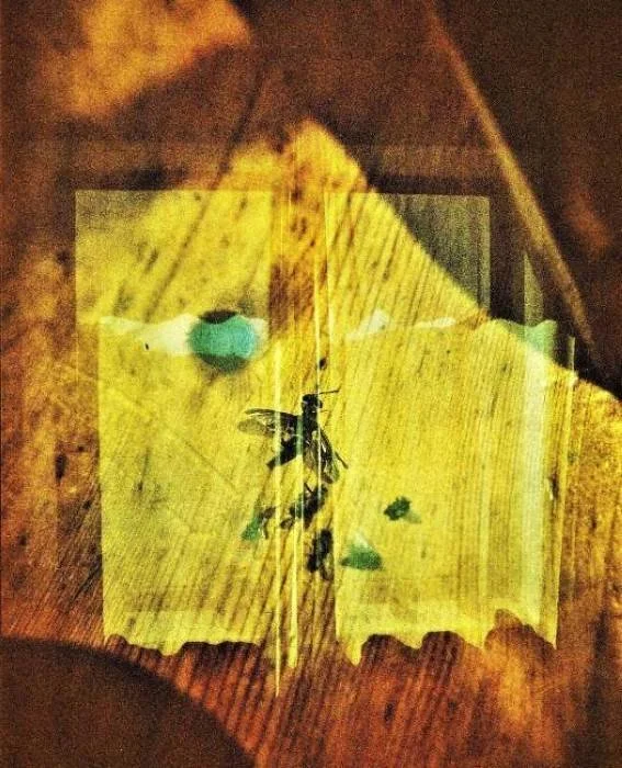 ITALY SERIES N  22 BY SANGES @.jpg