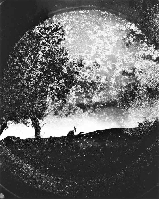 LUMINOUS N 4 BY SANGES @.jpg