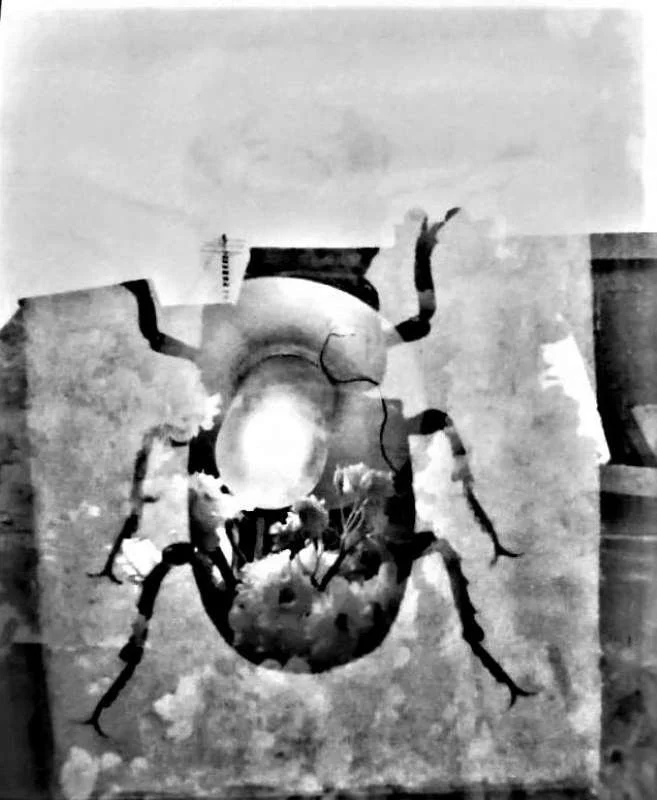 LOCKDOWN SERIES N8 BY SANGES © (1).jpg