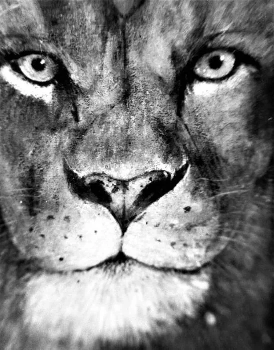 LOCKDOWN STREETS 101.jpg