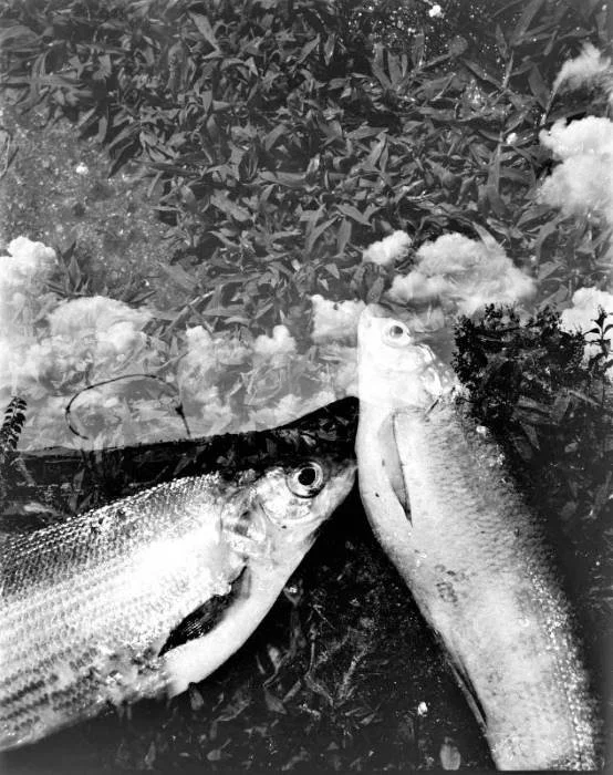 LUMINOUS N 10 BY SANGES @.jpg