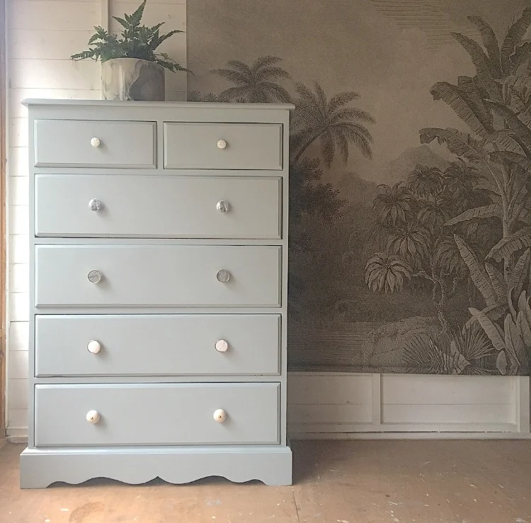 botanical interior styling