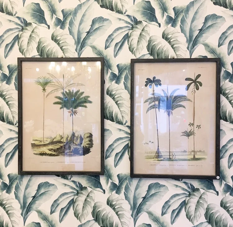botanical prints