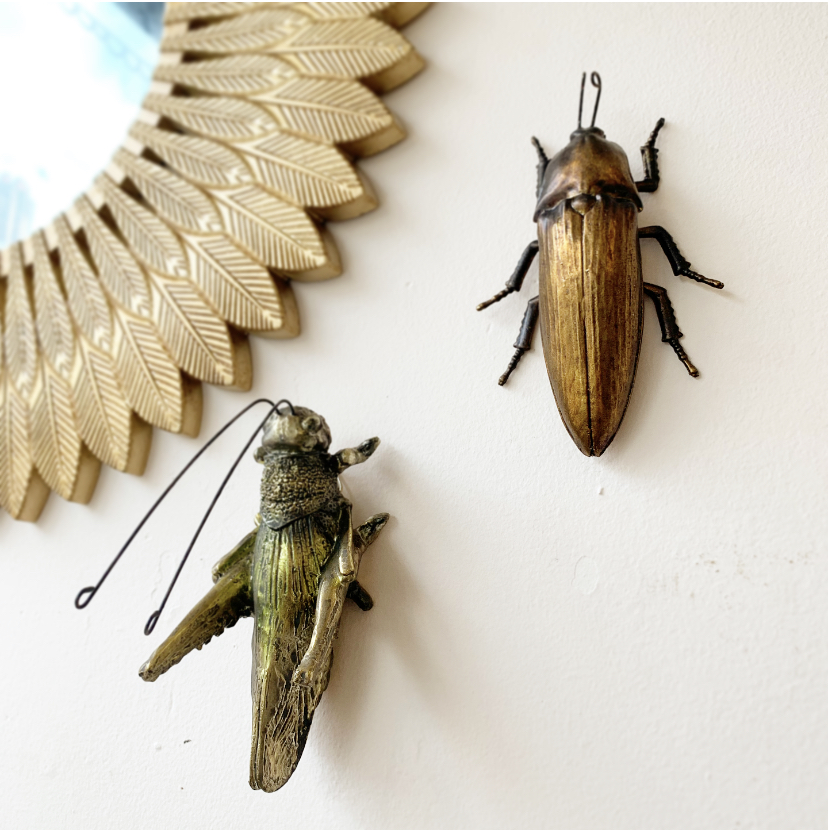 decorative insects