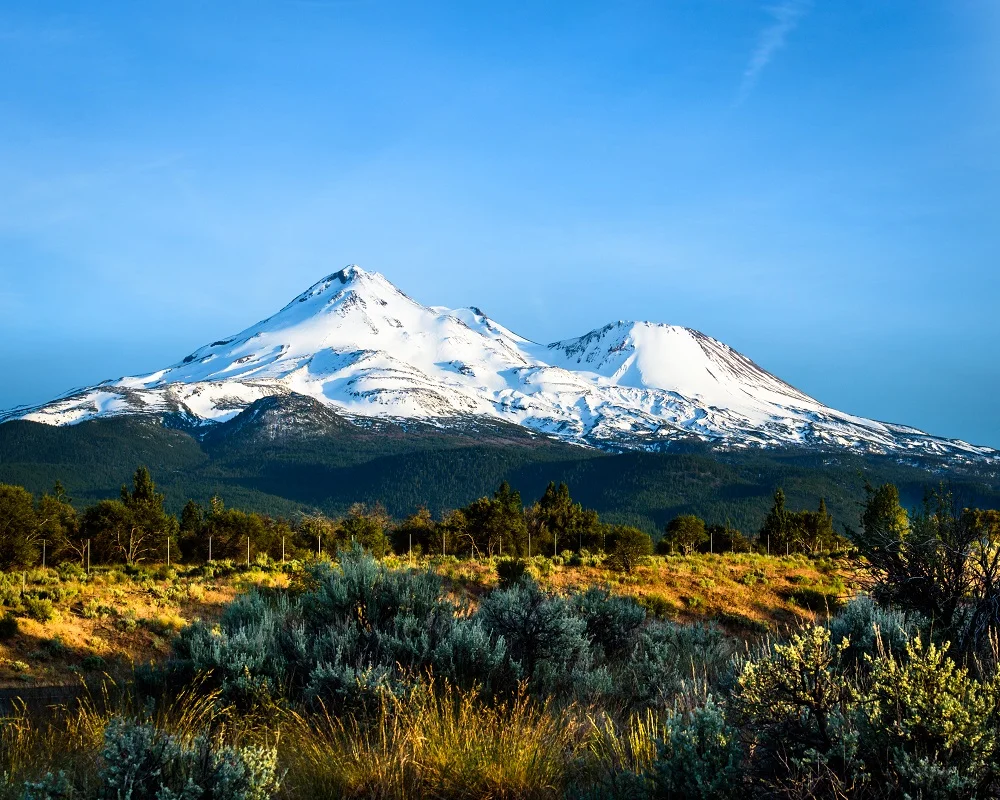 Mount Shasta