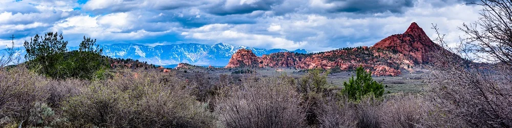 t-4519-Pano.jpg