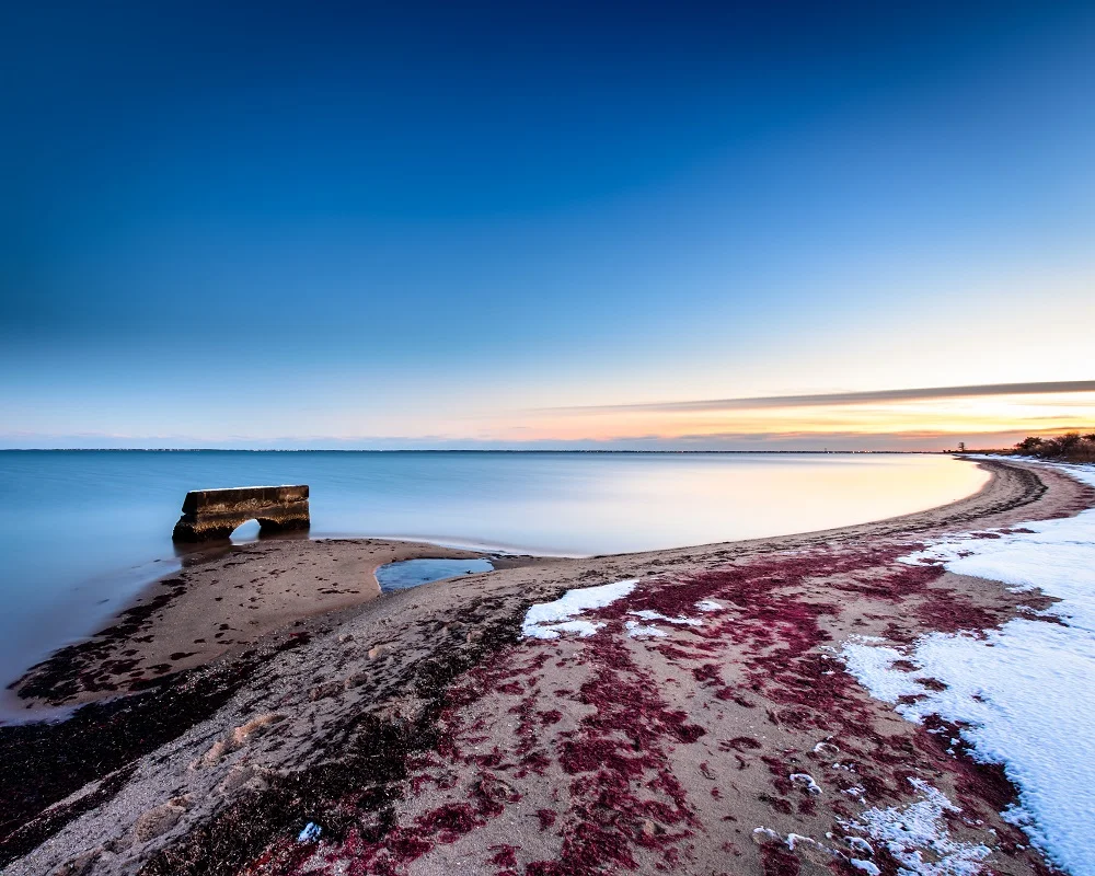 "Follow" - Long Island