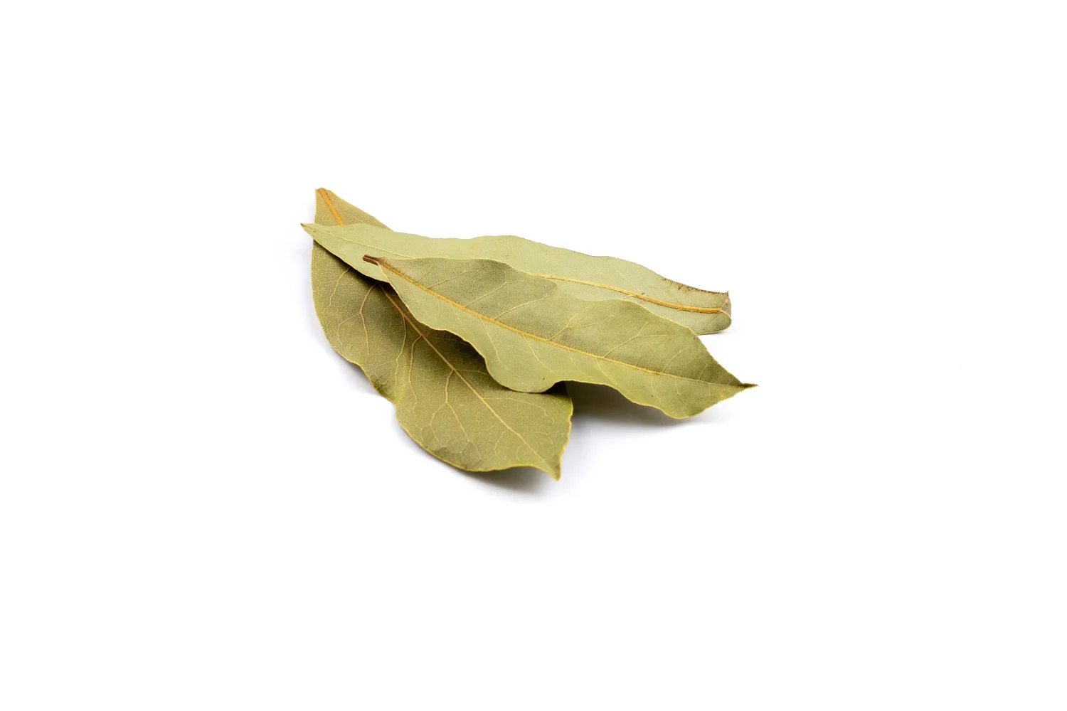Bay Leaves