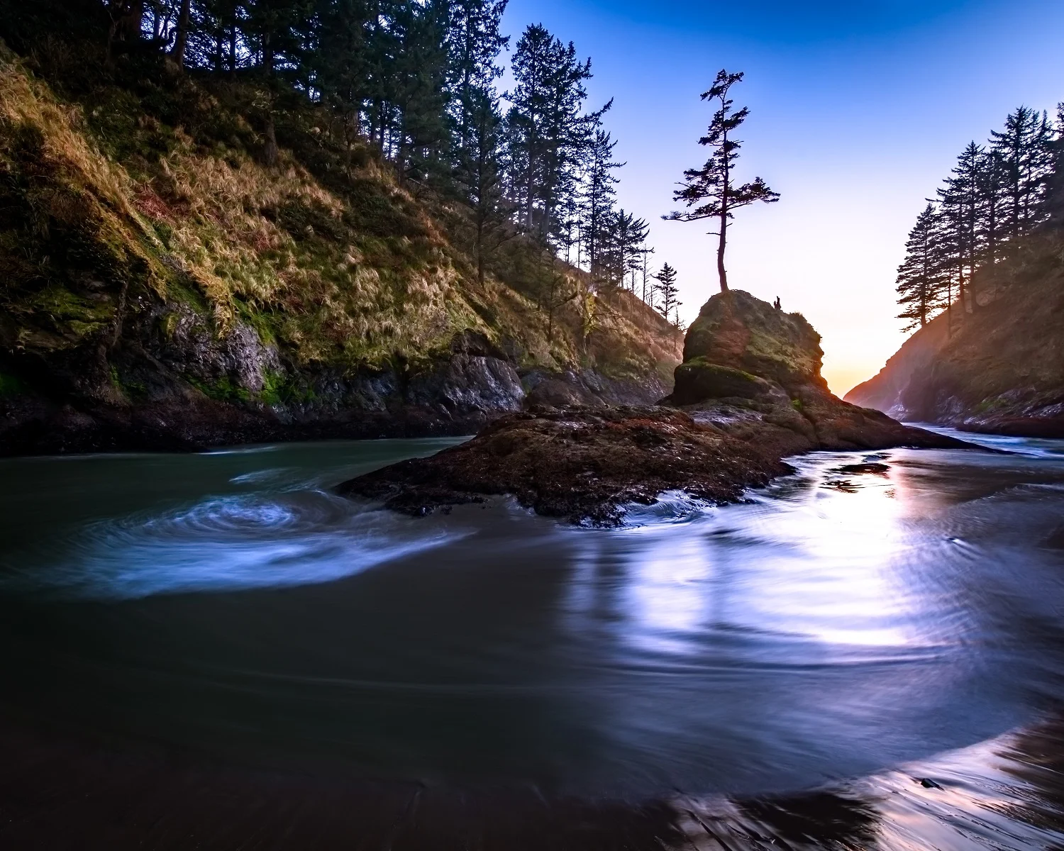 Cove