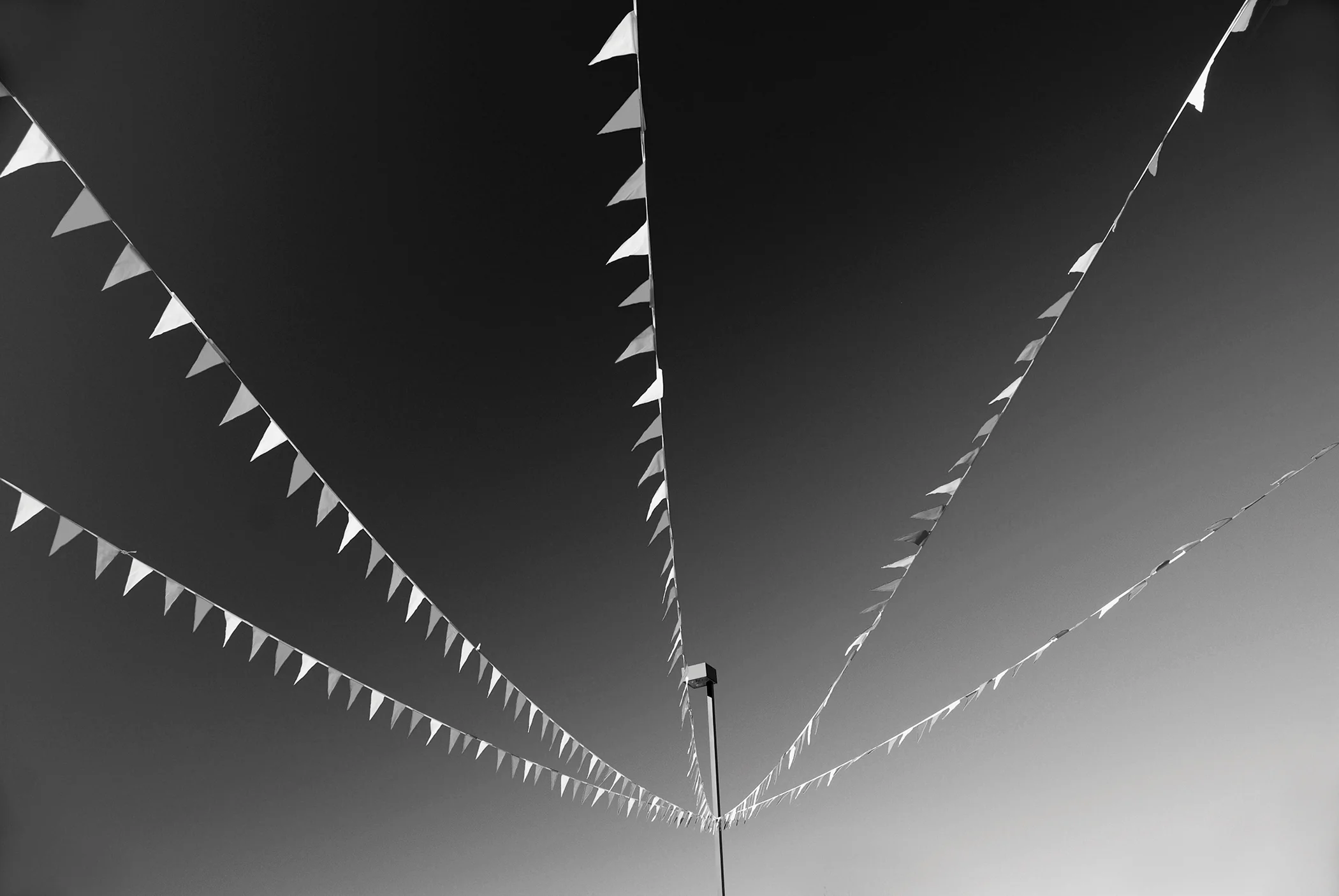 shutterstock_226902517_BW_RGB.jpg