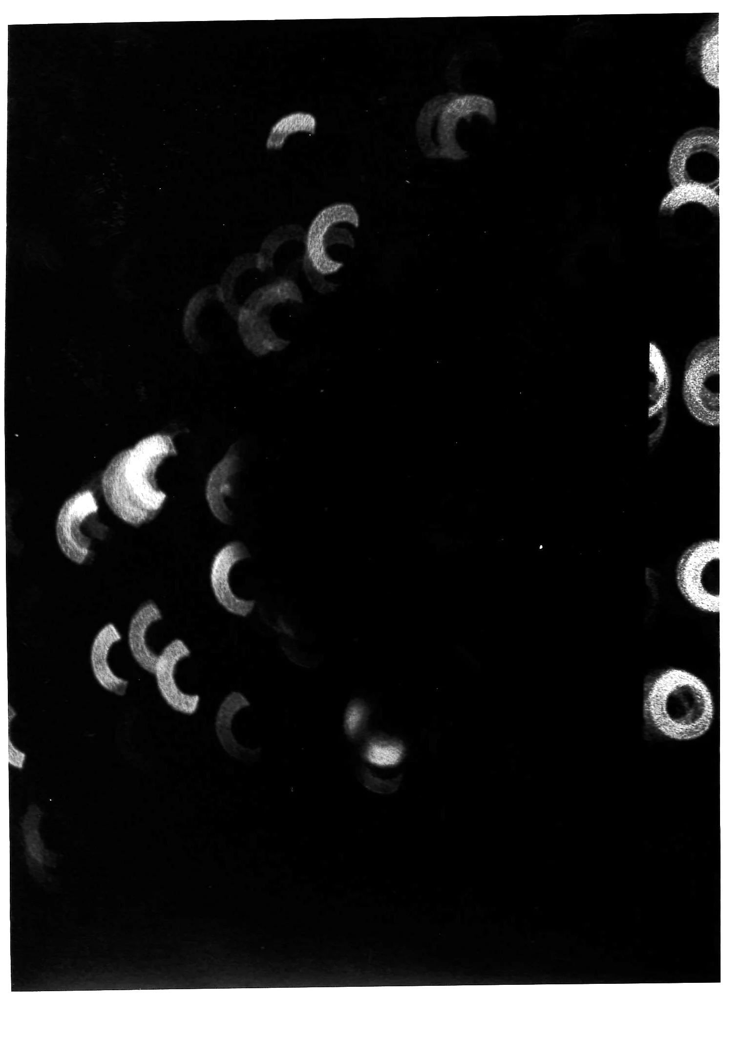 MultiExposure 4.jpg