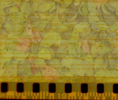 40427761_319102182191285_6715958923880300544_n.jpg