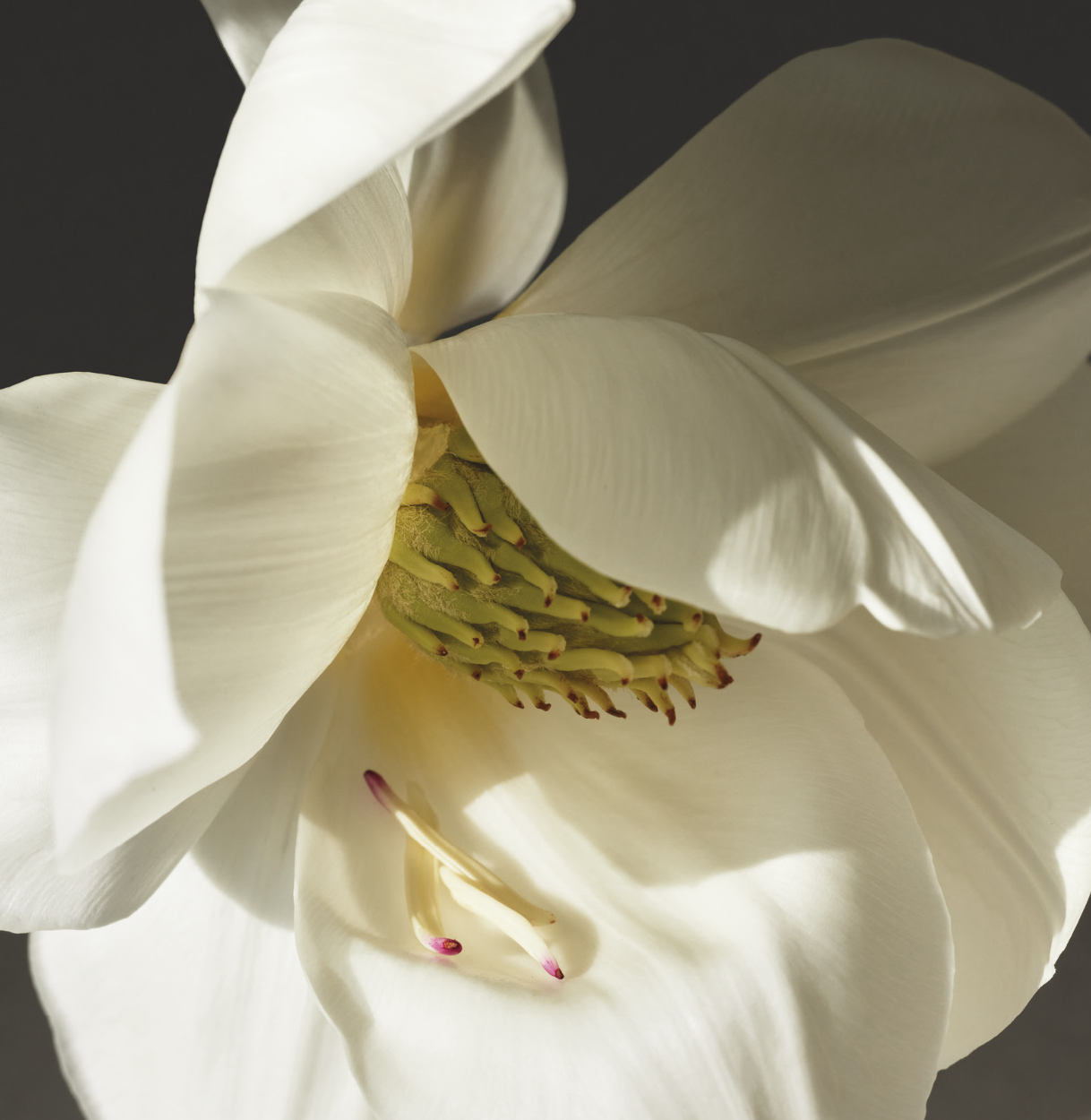 Capture d’écran 2024-09-11 à 15.46.46.png