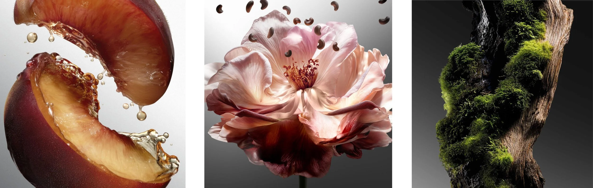 HER MAJESTY2.jpg