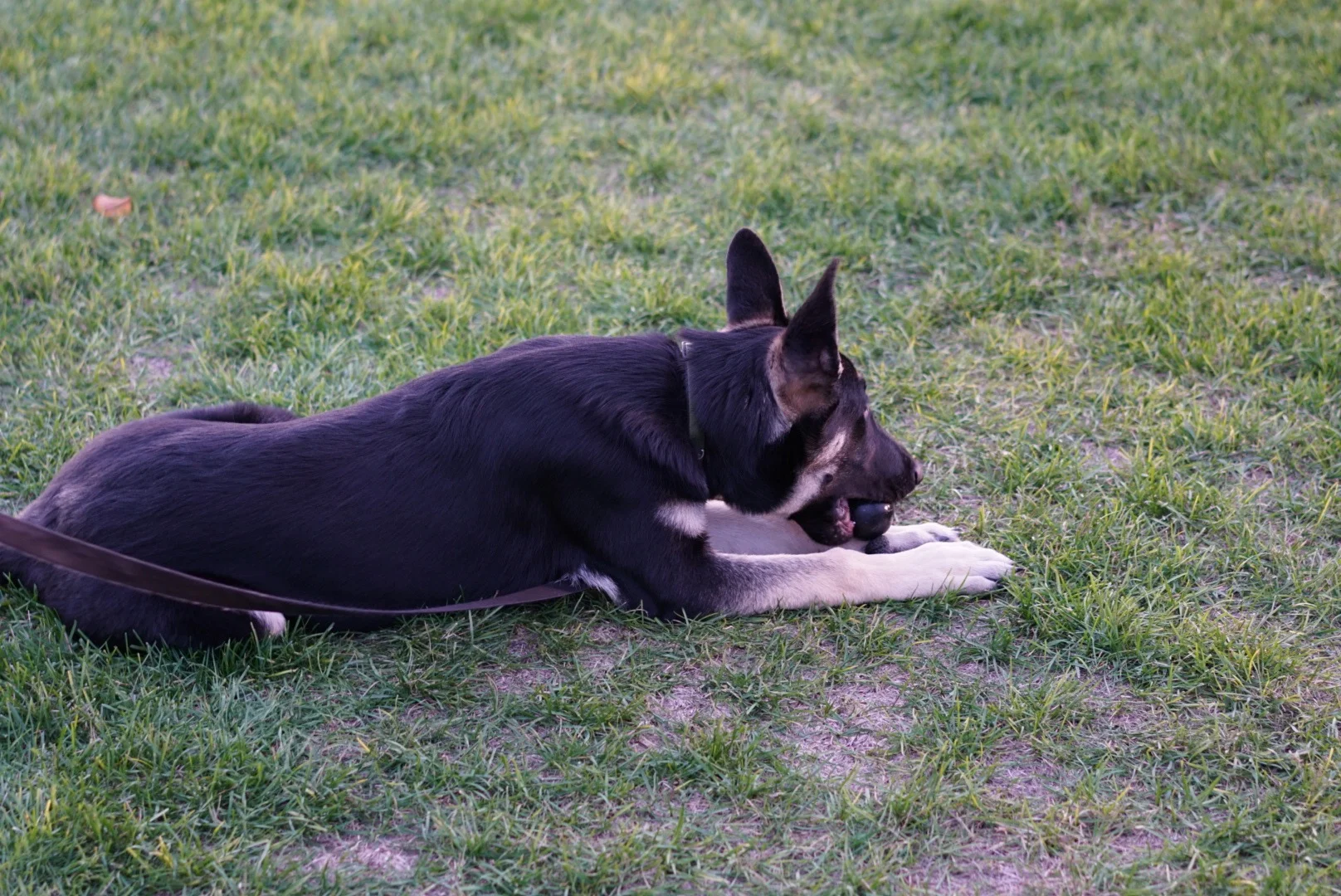 DSC00161.jpg