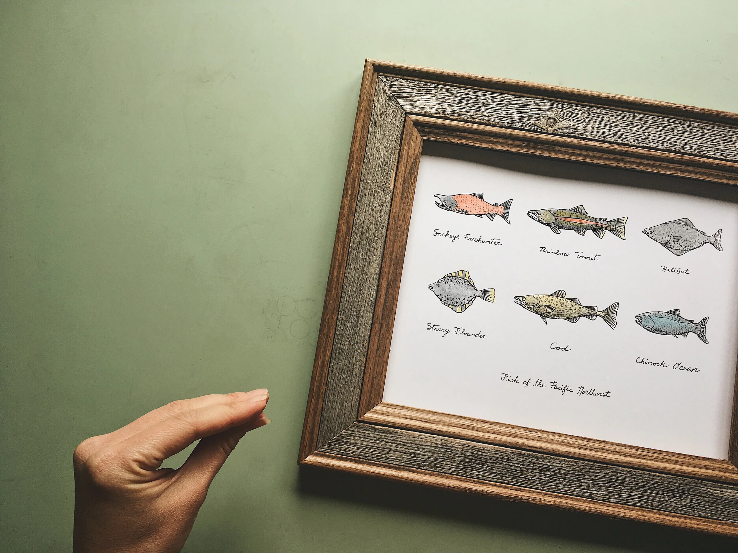 Fish of the Pacific Northwest