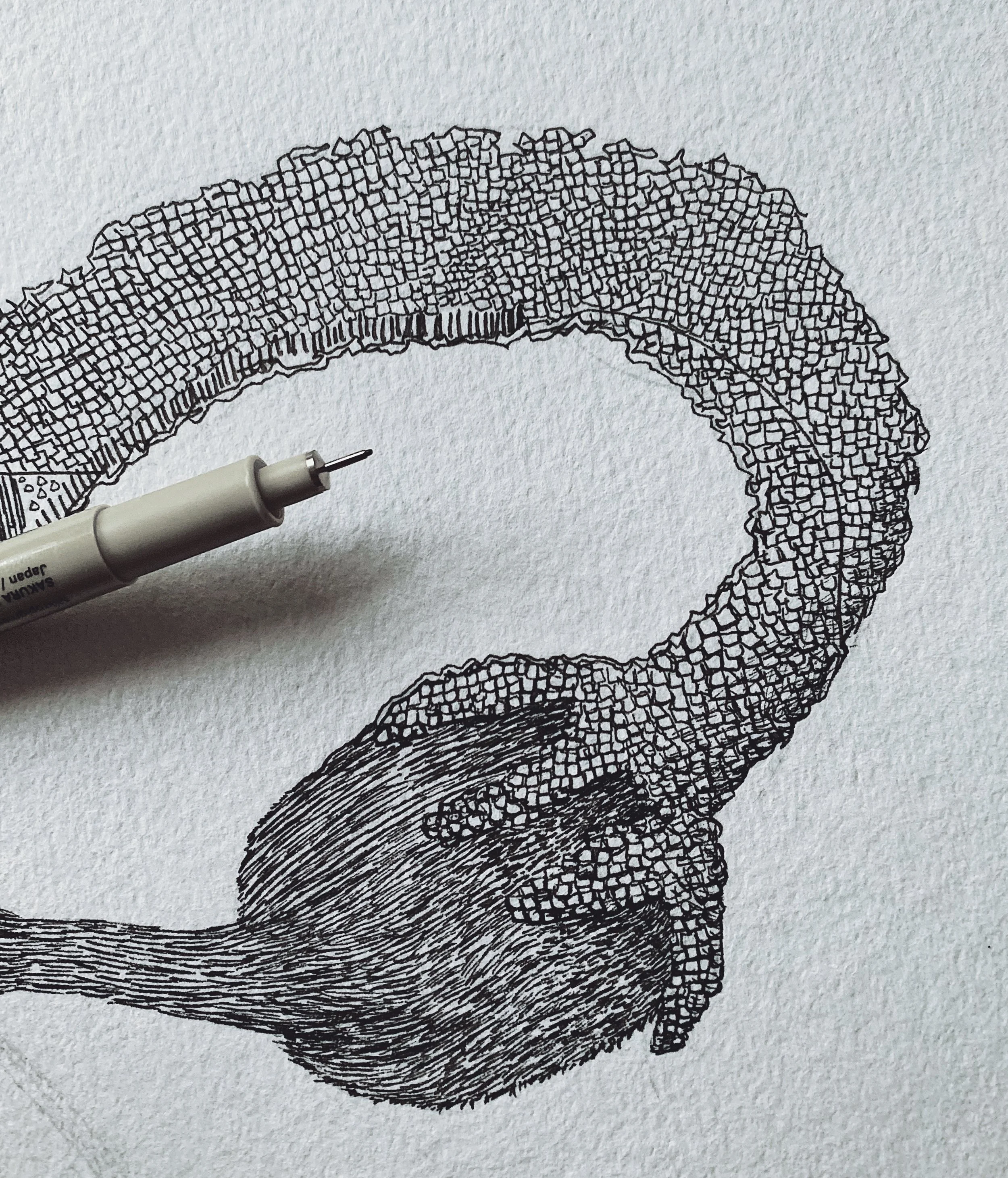 (In)Visible Organ