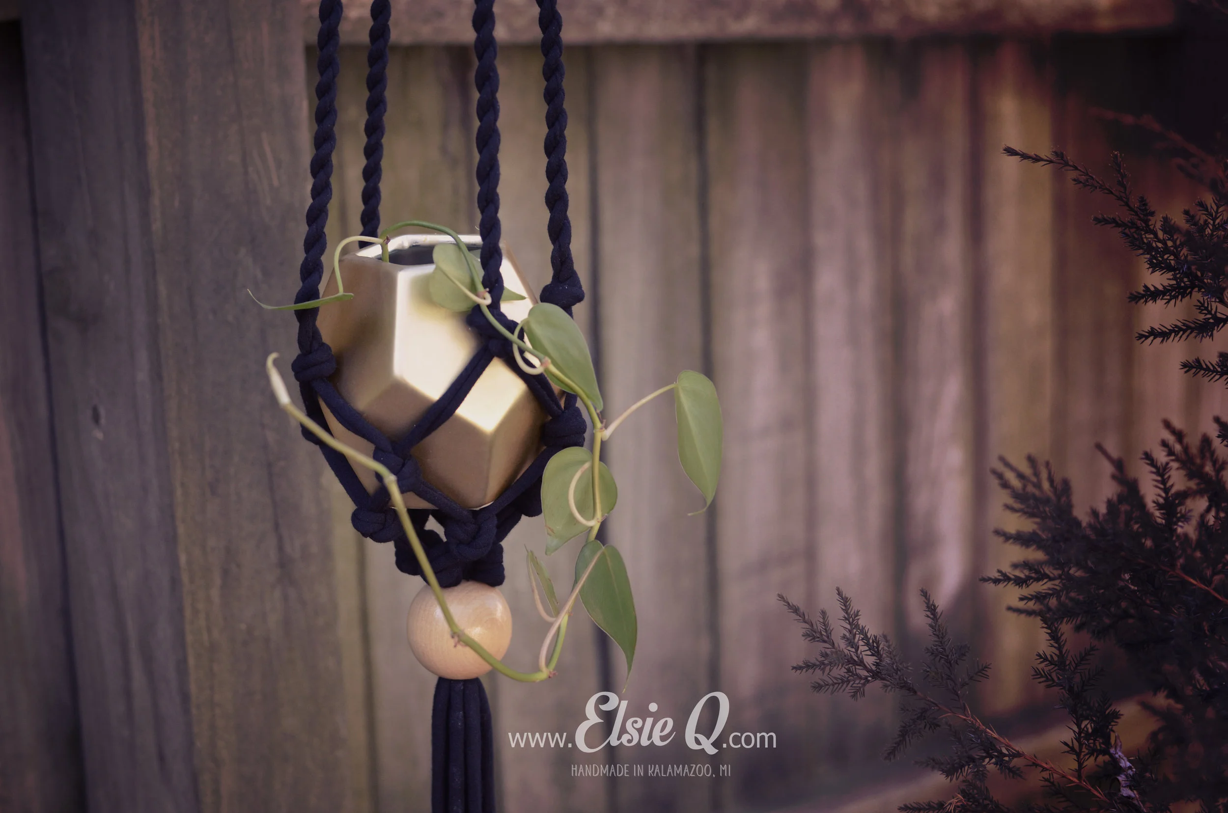 ElsieQ_PlantHanger (9).JPG