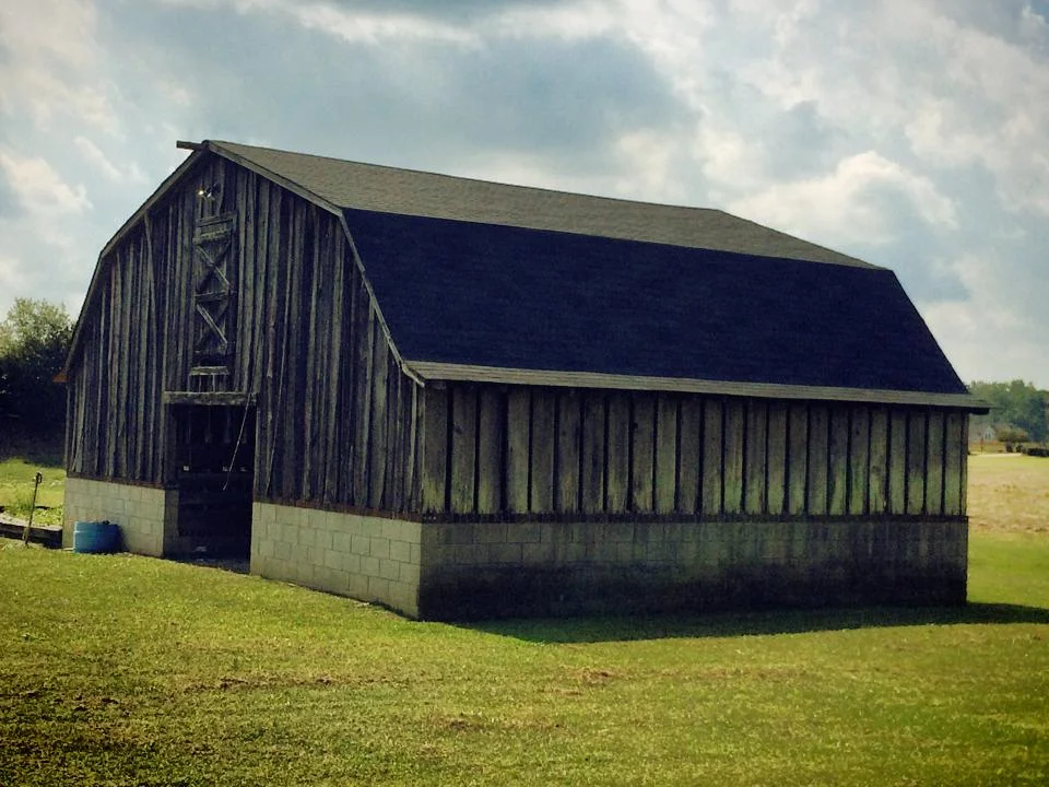 barn roof.jpg