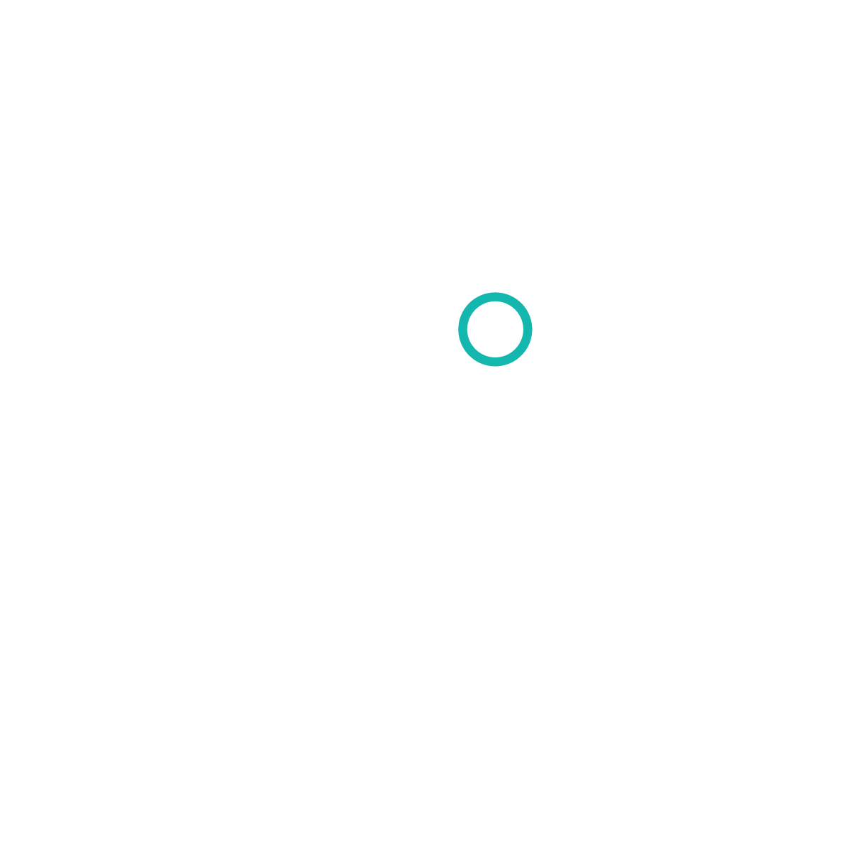 41 north