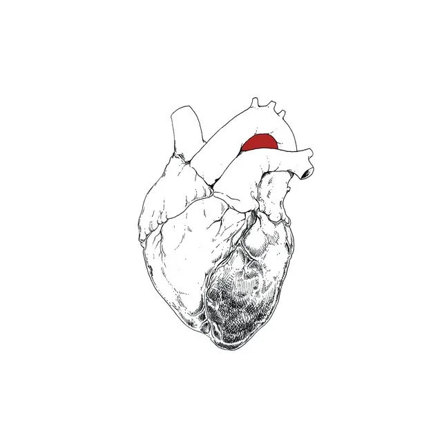 Staff Picks: Swans - The Beggar