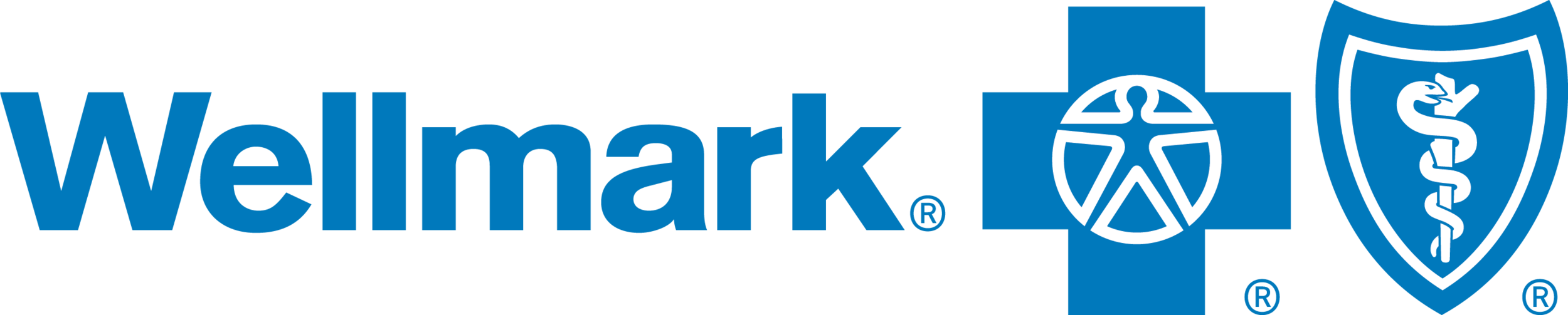 corp_blue (vector art - Wellmark logo).png