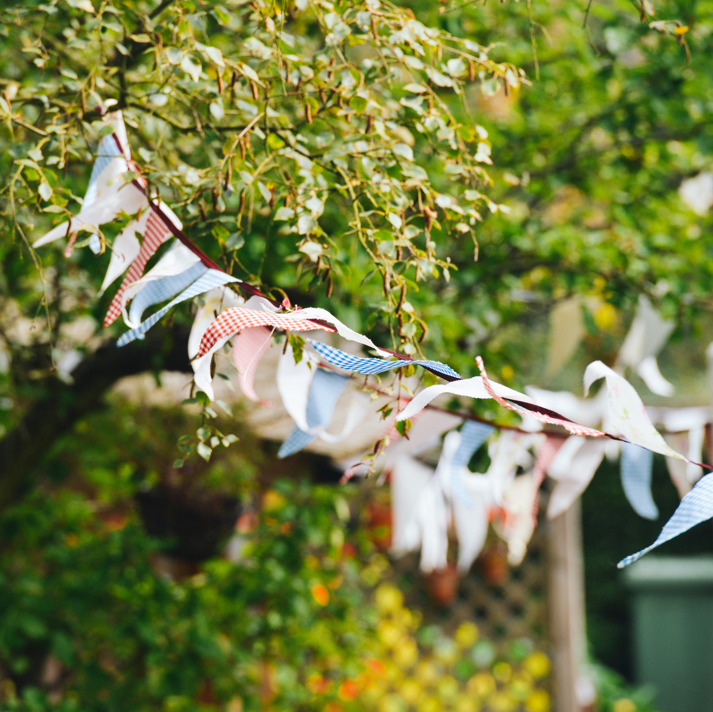 festival-flags-garden-party copy.jpg