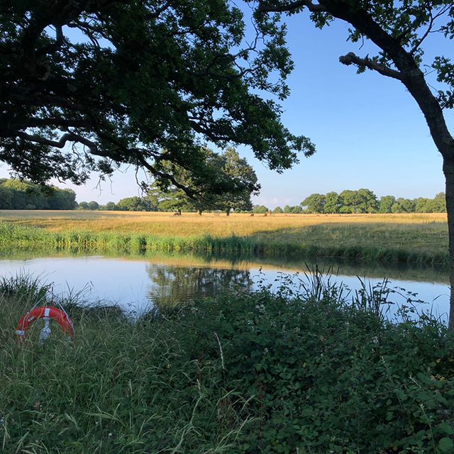 GORGEOUS venue in the grounds of Knepp Castle last night. Can you spot the deer?? 🦌🦌🦌
&bull;
#deer #kneppcastle #costumeparty #partyband #functionband #estate #fancydress #movietheme #lake #trees #nature #redcarpet #redcarpet #hollywood