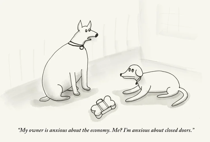 anxious-dog.jpg