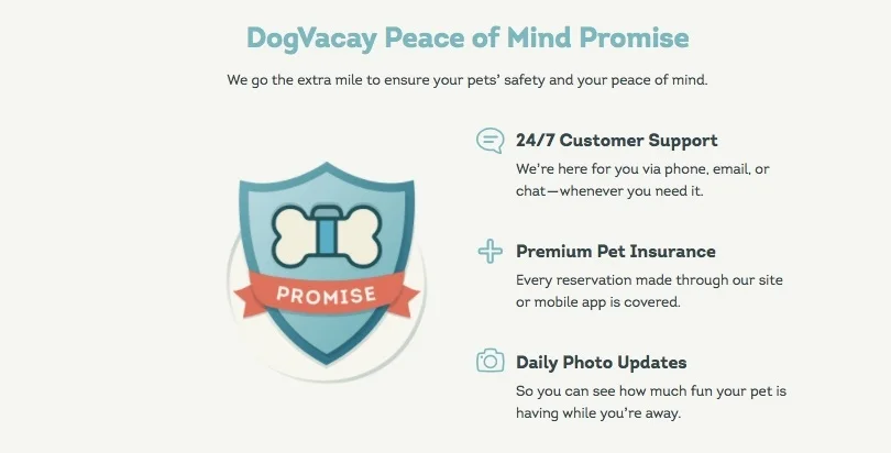 DV_homepage_3.jpg