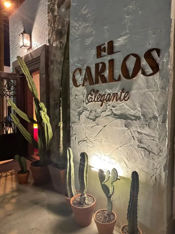 Outdoor scene of a restaurant or bar entrance with a textured stone wall displaying the sign 'El Carlos Elegante', illuminated by wall lighting. Several potted cacti of varying sizes are placed next to the wall.