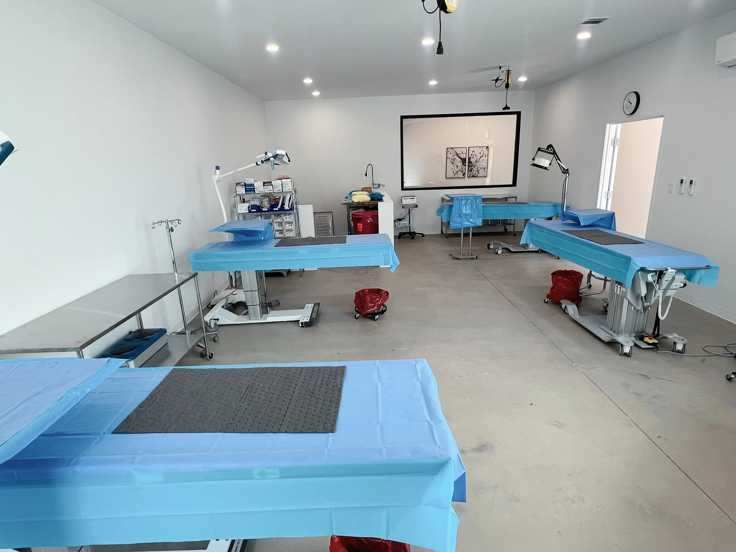 Empty medical procedure room with several surgical tables covered in blue drapes, medical equipment, and overhead lights.