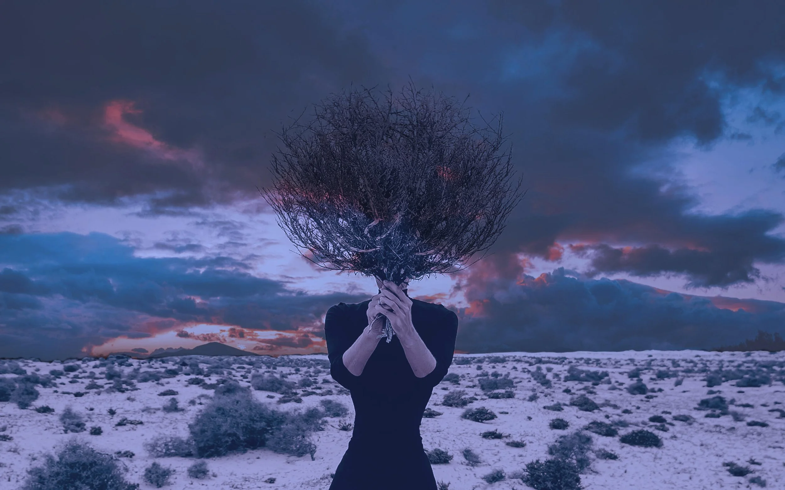 A Star Next to the Moon