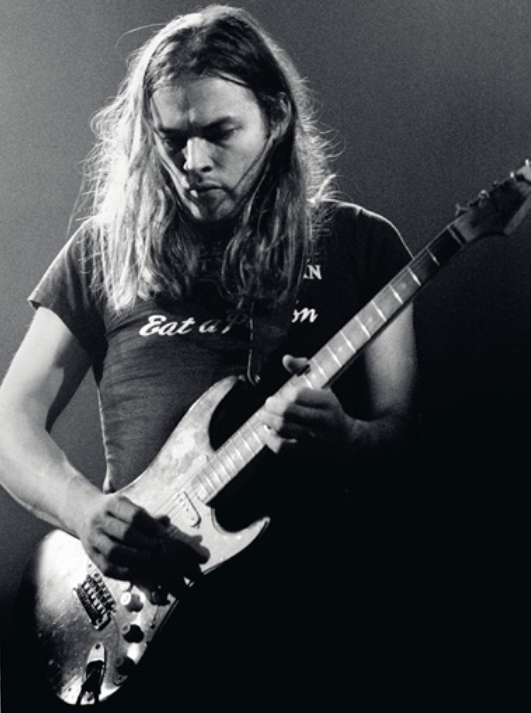 DAVID GILMOUR PIC.png