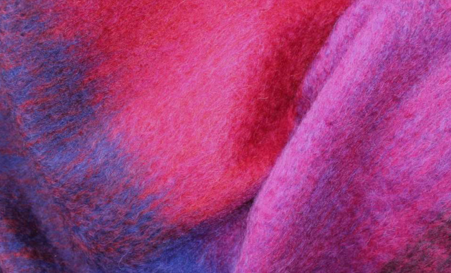 berry+detail.png