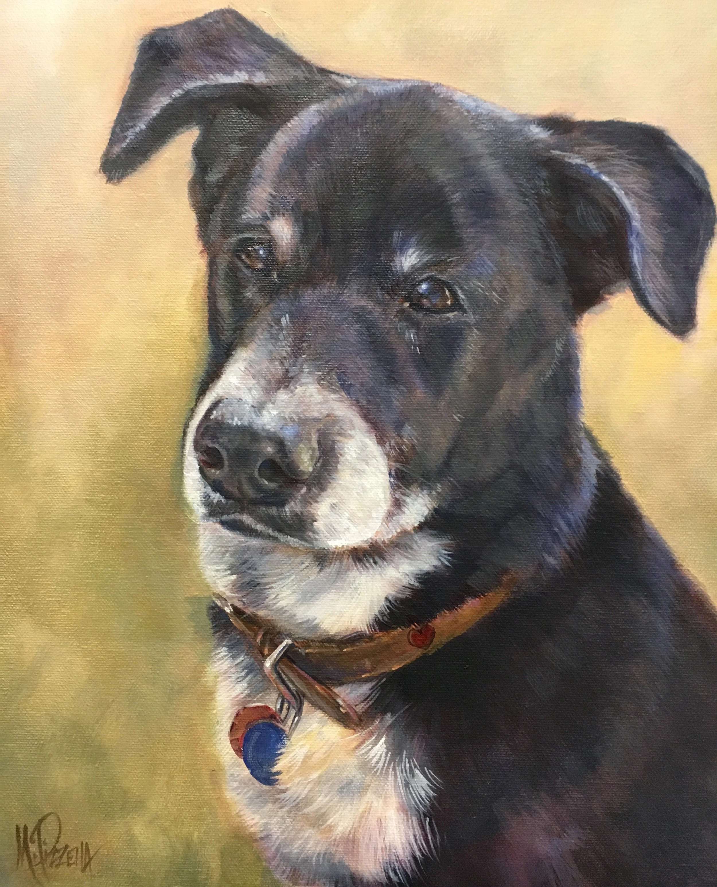 Jake Pet Portrait.JPG