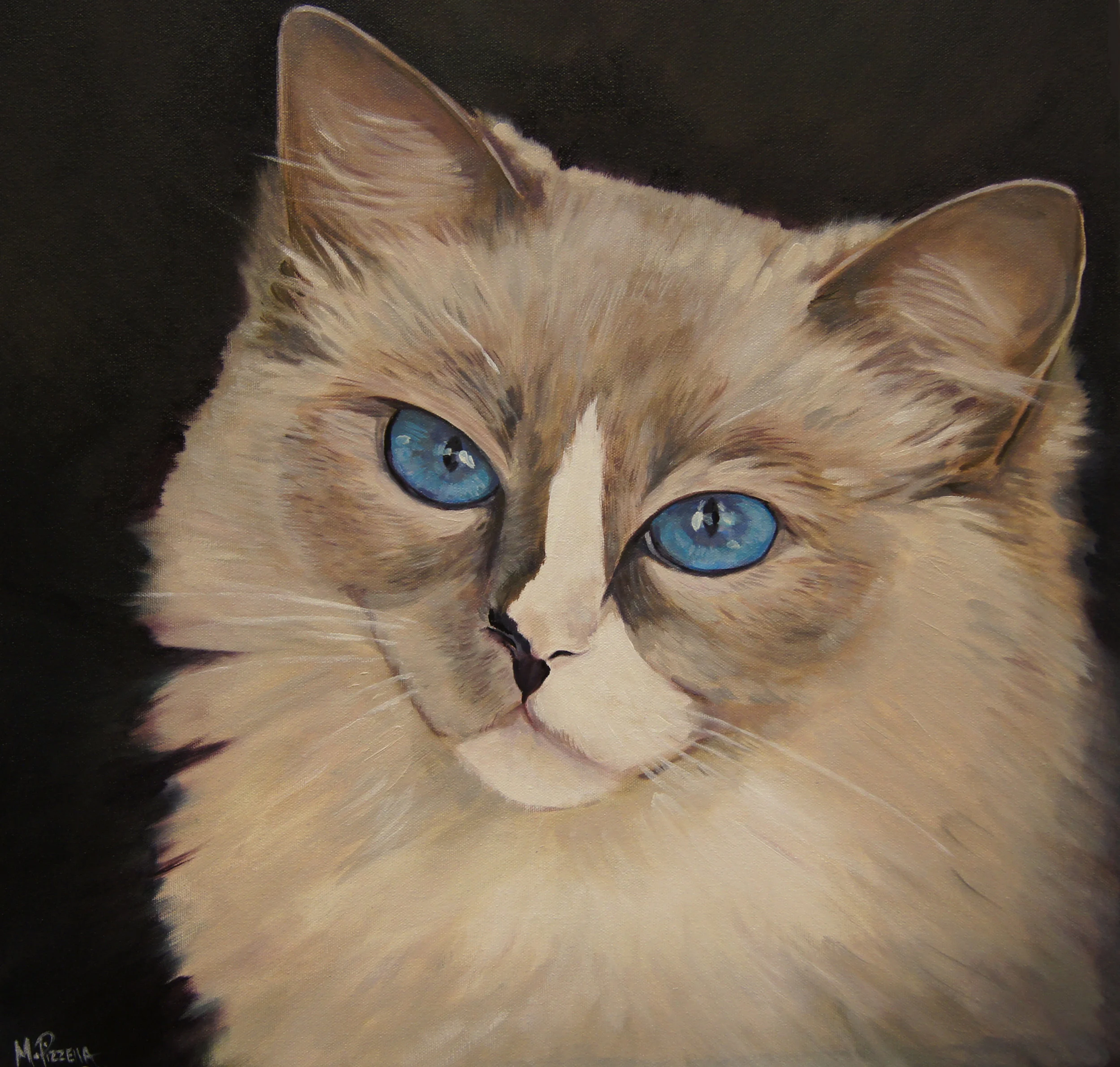 Barlow Pet Portrait.jpg