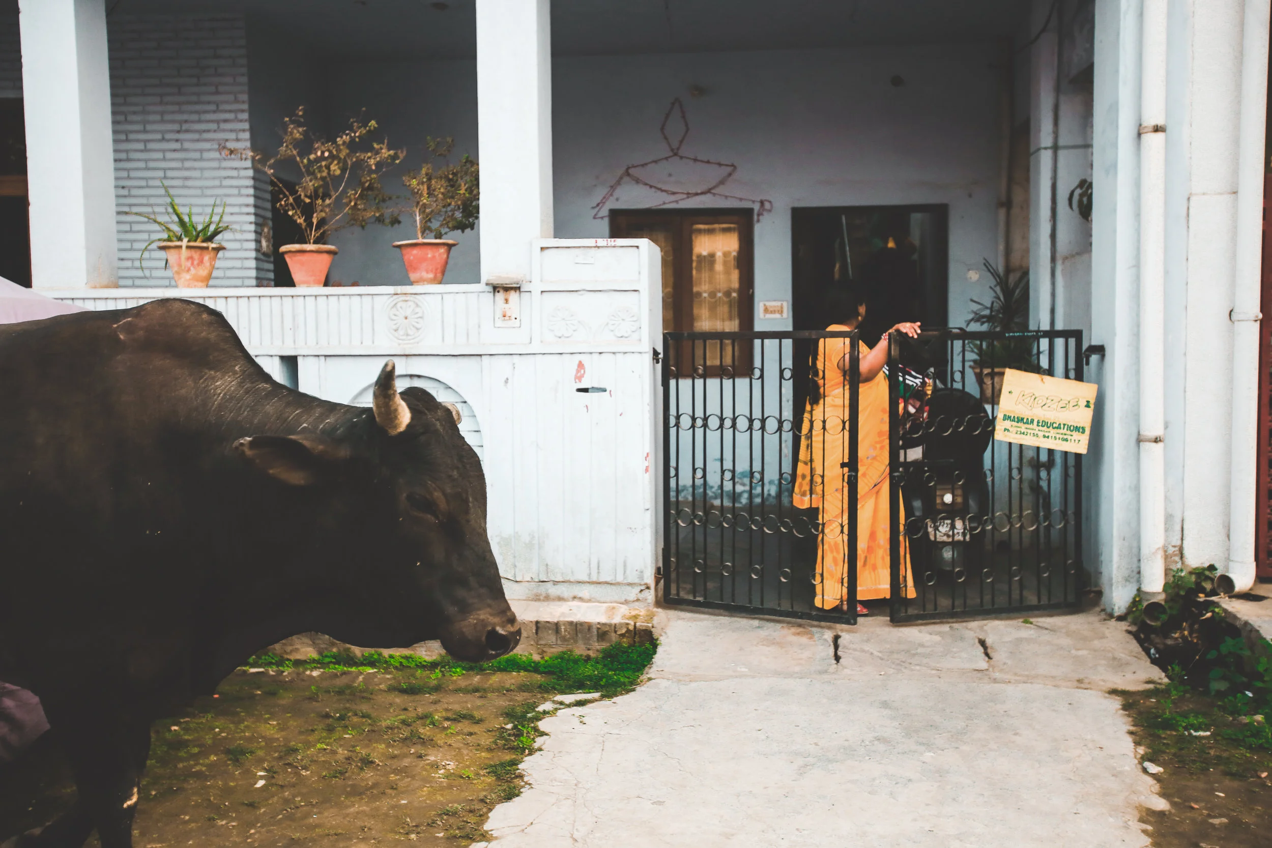 jlawson_india-3.jpg