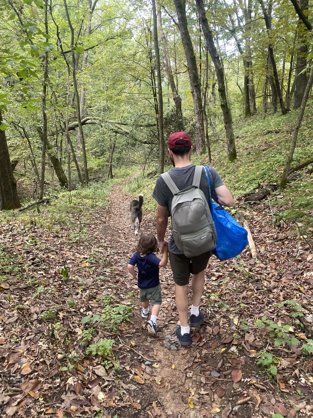 Walk in the Woods.jpeg