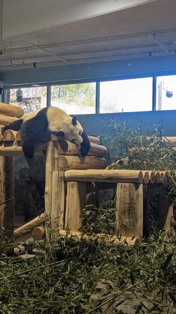 Image - 2026-03-30T152120.710.jpeg