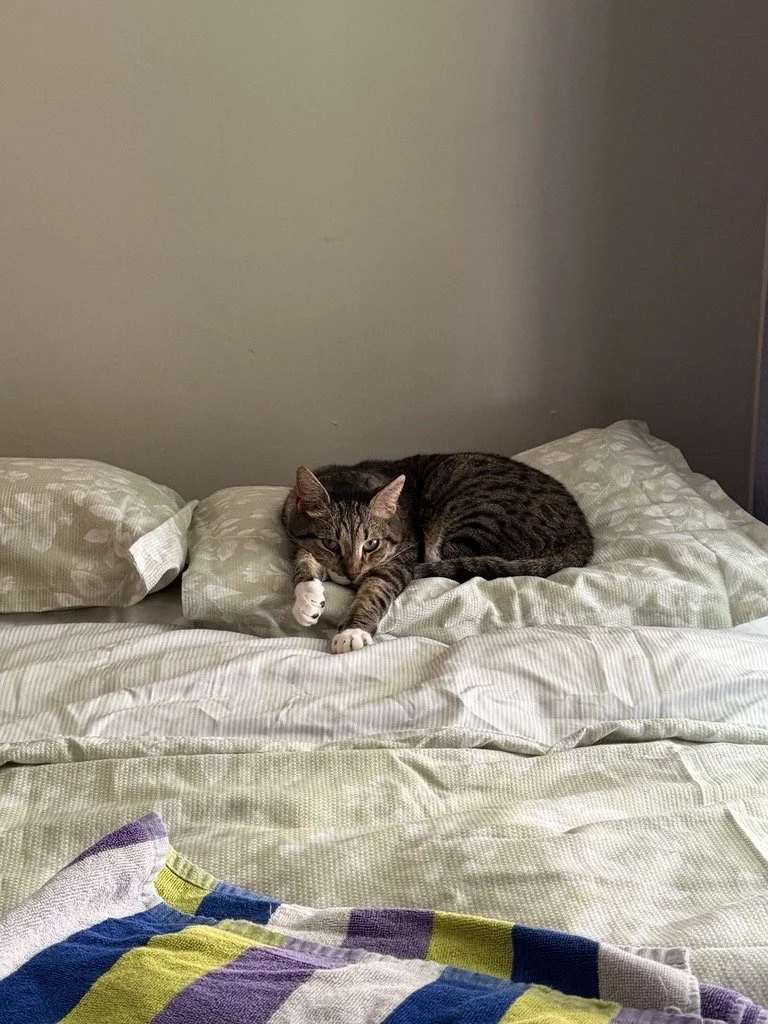 Image (37).jpeg