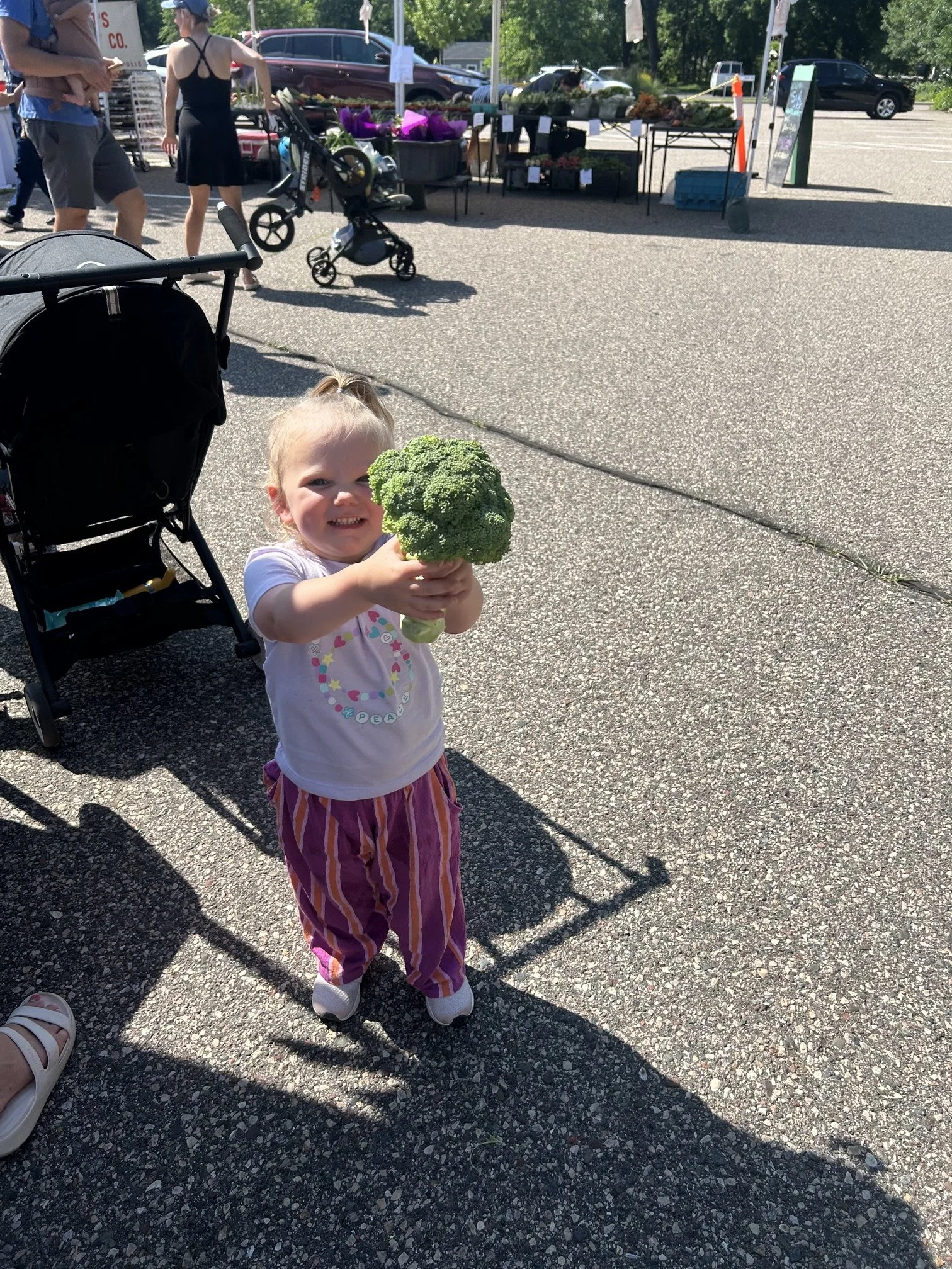 image1.jpeg